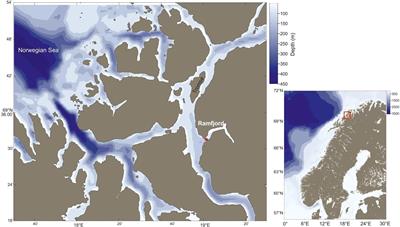 Seasonal Variability in the Zooplankton Community Structure in a Sub-Arctic Fjord as Revealed by Morphological and Molecular Approaches
